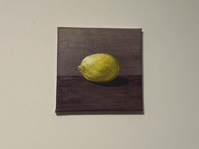 Obrazy olejne 20*20 cm